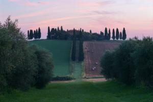 pictures of Tuscany - The Gladiator Farm