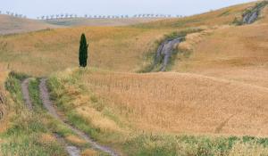 photo locations in San Quirico D Orcia - Curvy Tuscan Road