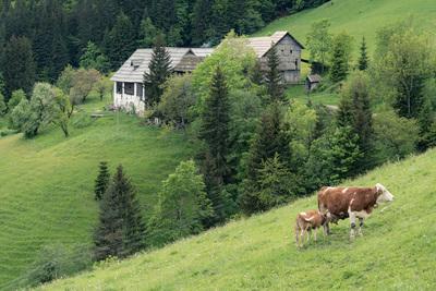 instagram spots in Slovenia - Macesnik Farmhouse