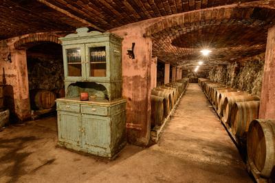 photography spots in Slovenia - Čotar Winery