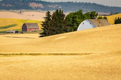 Palouse photography spots - Berger Road Barn View