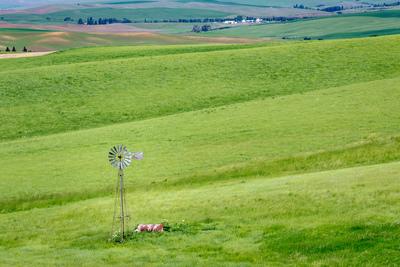 pictures of Palouse - File Road Windmill