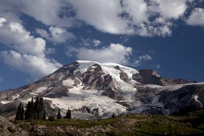 photos of Mount Rainier National Park - Alta Vista