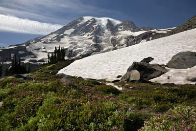 images of Mount Rainier National Park - Panorama Point, Mount Rainier National Park