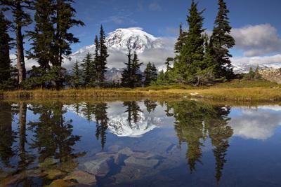 Mount Rainier National Park photography locations - Pinnacle Saddle