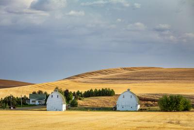 pictures of Palouse - Brown Farm Barns