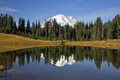 instagram locations in Washington - Tipsoo Lake, Mount Rainier National Park