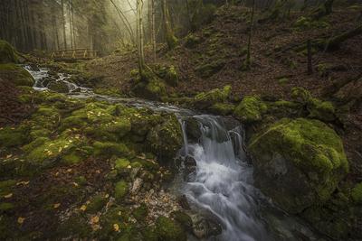 photography spots in Veneto - Vette Feltrine (Feltre Dolomites) – Little waterfalls