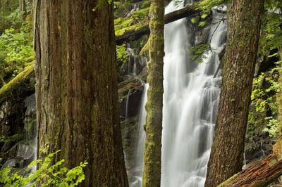 photo spots in Washington - Ranger Falls and Green Lake, Mount Rainier National Park