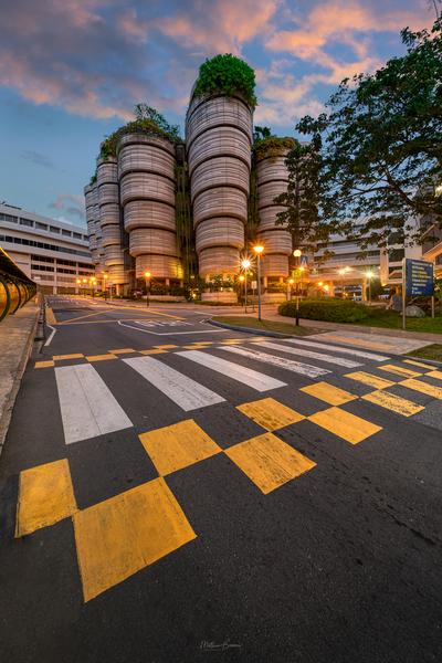 photo spots in Singapore - The Hive - Exterior