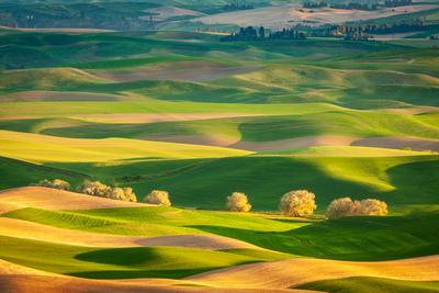 photo locations in Washington - West Steptoe Butte Viewpoint