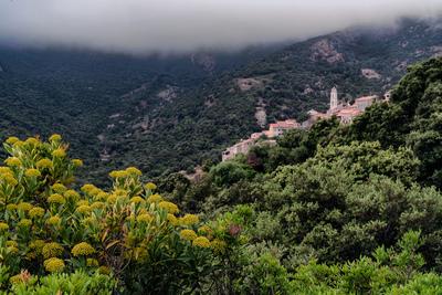 photos of Corsica - Palasca - view from the road