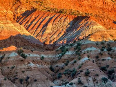 photography locations in Coyote Buttes North & The Wave - Old Paria Townsite