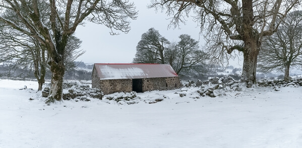 Emworthy barn and bluebells looking north from the paddock early morning in mid winter after fresh snow fall.