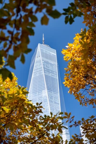 One WTC captured during the autumn with colorful leaves as a frame