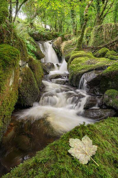 instagram spots in United Kingdom - Colly Brook Waterfalls