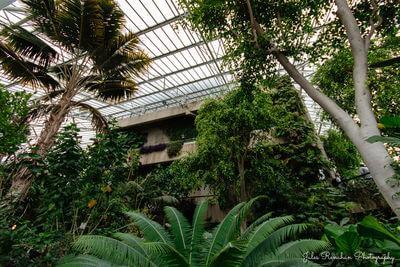 photos of London - Barbican Conservatory