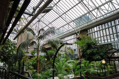 Things to photograph in London - Barbican Conservatory
