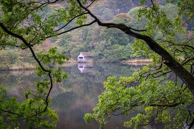 photos of Lake District - Rydal Water, Lake District
