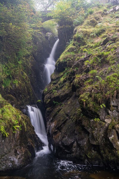 Double cascade of Aira Force
