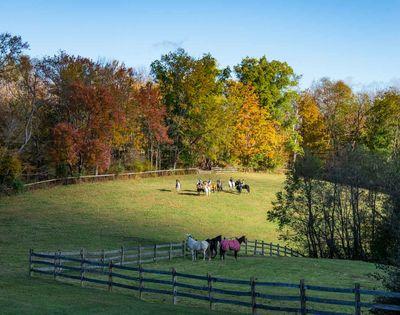 photography spots in United States - Autumn in Ligonier