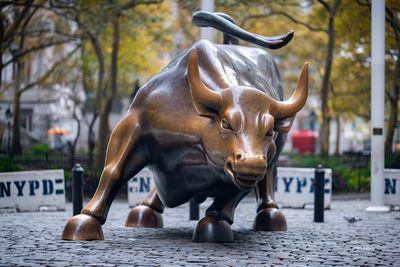 images of New York City - Charging Bull sculpture