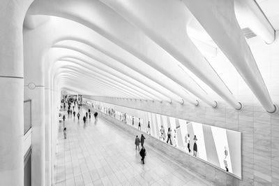 images of New York City - Passages to WTC Transportation Hub (Oculus)
