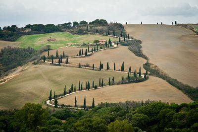 images of Tuscany - Winding road view from La Foce