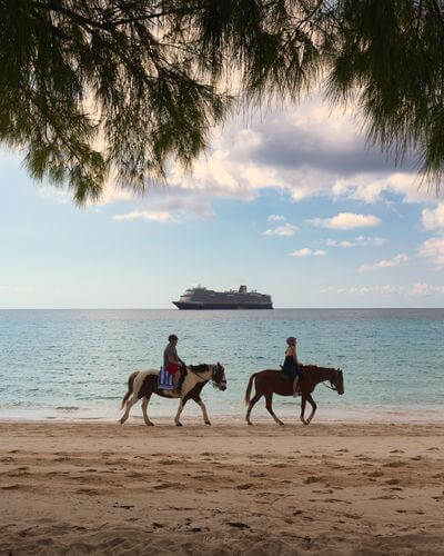 pictures of The Bahamas - Half Moon Cay - Pegasus Ranch
