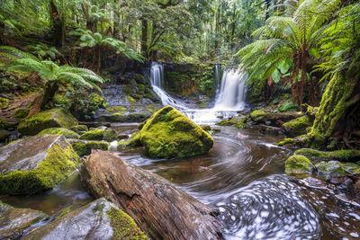 photo spots in Tasmania - Horseshoe Falls, Tasmania