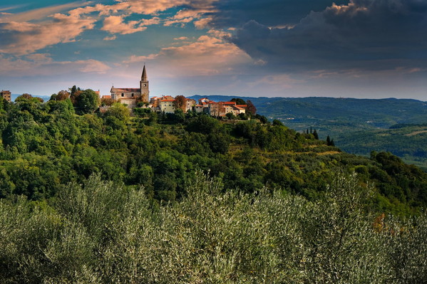 On our way from Motovun, we stopped to take this photo of the town from afar. 
