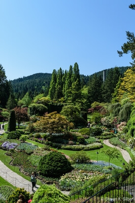 British Columbia instagram spots - Butchart Gardens