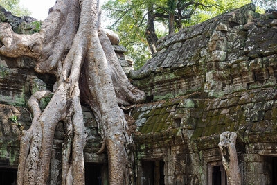Cambodia photography locations - Ta Prohm Temple, Cambodia