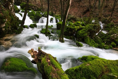 Lijak Creek and Spring, Slovenia
