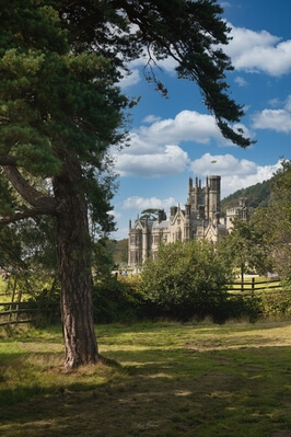 pictures of South Wales - Margam Country Park