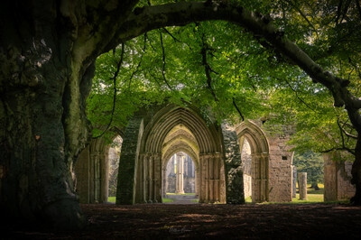 photo spots in South Wales - Margam Country Park
