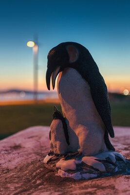 photo locations in Greater London - Whale & Penguins