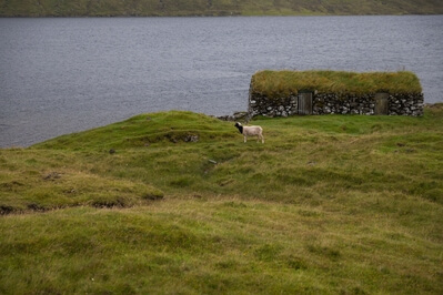 photos of Faroe Islands - Fishearmans turf houses
