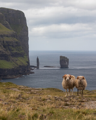 images of Faroe Islands - View of Risin & Kellingin (Giant & the Witch)
