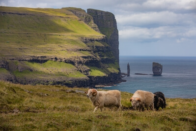 pictures of Faroe Islands - View of Risin & Kellingin (Giant & the Witch)