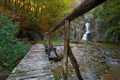 Valley of stream and waterfalls Gačnik