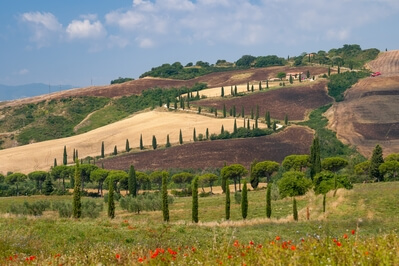 photo spots in Toscana - Winding road from the parking by La Foce