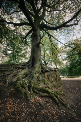 photos of South Wales - Gnoll Country Park