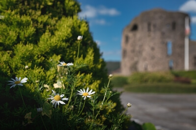 pictures of South Wales - Neath Castle