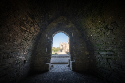 pictures of South Wales - Neath Abbey - Interior