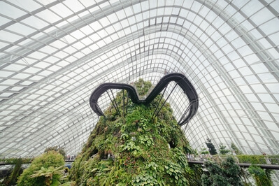 Singapore pictures - Cloud Forest