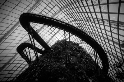 pictures of Singapore - Cloud Forest