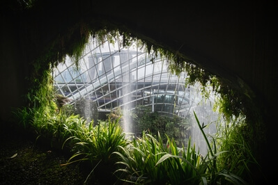 images of Singapore - Cloud Forest