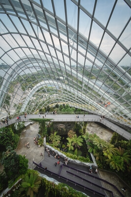 photos of Singapore - Cloud Forest