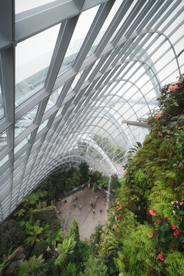 pictures of Singapore - Cloud Forest